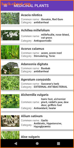 Medicinal plants: herbs screenshot