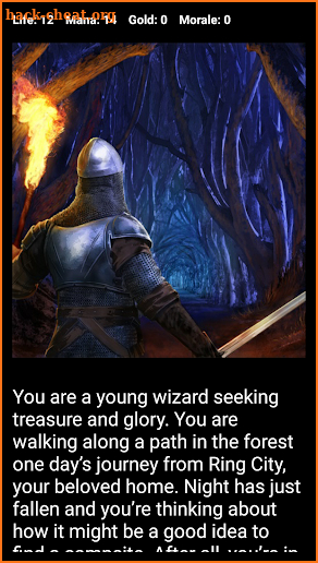 Medieval Fantasy RPG (Choices Game) screenshot