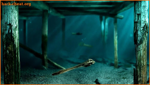 Meditation Aquarium screenshot