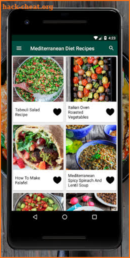 Mediterranean Diet Recipes: Mediterranean Recipes screenshot