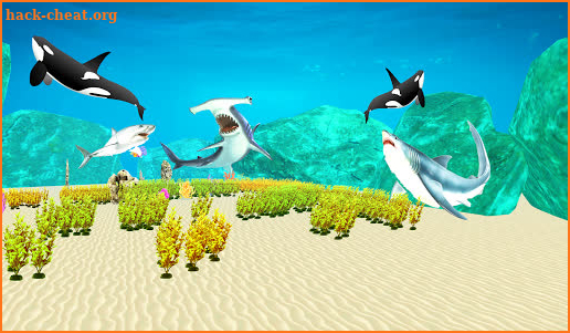 Mega Sharks 3d  : Shark Games screenshot