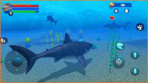 Megalodon Simulator screenshot