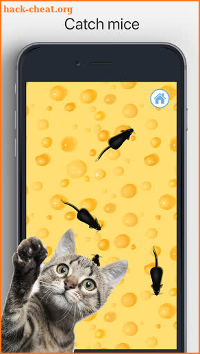 Meow - Cat Toy Games for Cats screenshot