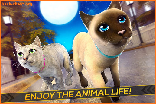 Meow! Cute Kitty Cat 🐈 Puppy Love Pet Simulator screenshot