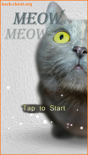 Meow Meow screenshot