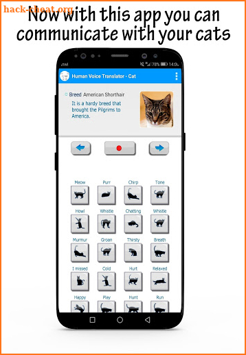 Meow Translator : How to understand your kittens screenshot