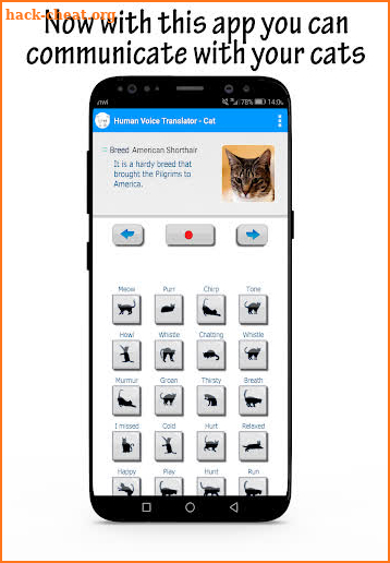 Meow Translator : Human to Cats screenshot