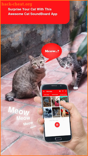 MeowApp - Cat Sounds screenshot