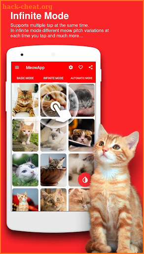 MeowApp - Cat Sounds screenshot
