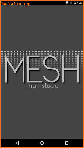 Mesh Hair Studio screenshot