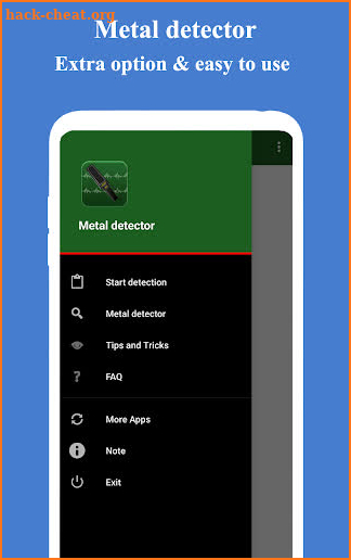 Metal detector screenshot