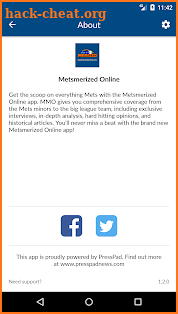 Metsmerized Online screenshot