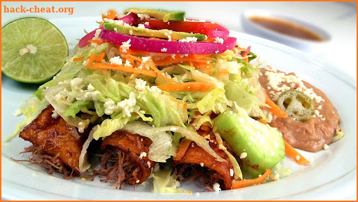 Mexican Food screenshot
