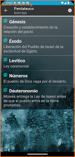 Mi Biblia Multi Traducción screenshot
