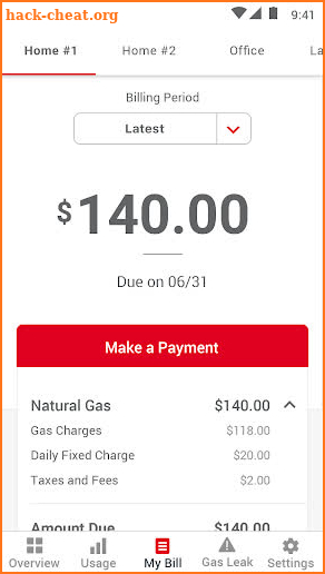 Michigan Gas Utilities (MGU) screenshot