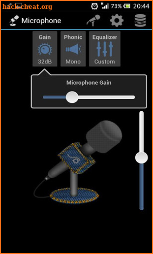 Microphone screenshot