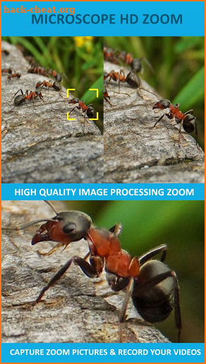 Microscope HD Zoom Camera screenshot