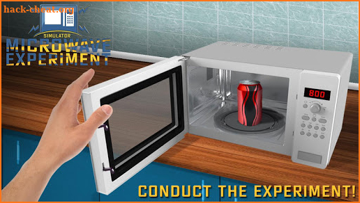 Microwave Experiment Simulator screenshot
