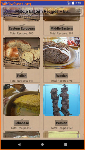 Middle Eastern Recipes ~ European Recipes screenshot