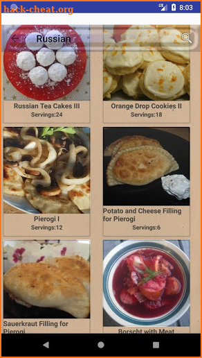 Middle Eastern Recipes ~ European Recipes screenshot