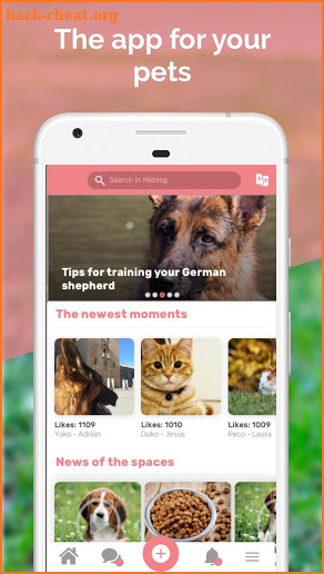 Midoog - Your pet's app screenshot