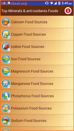 Minerals & Antioxidants Foods screenshot