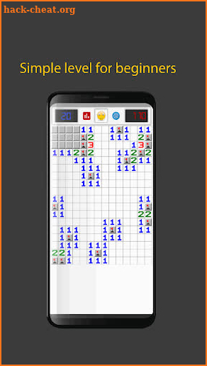 Minesweeper puzzle screenshot