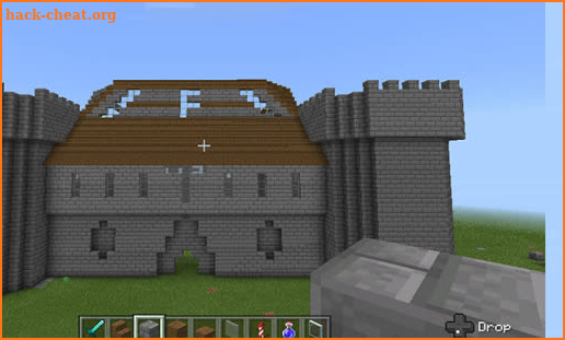 Mini World Craft : Town Builder screenshot