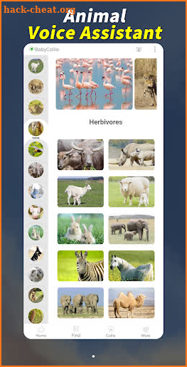 Mini Zoo: Kids and Magical Animal Voice Assistant screenshot