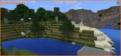 Minicraft Pro screenshot