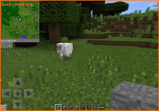 Minimap Mod Minecraft PE screenshot