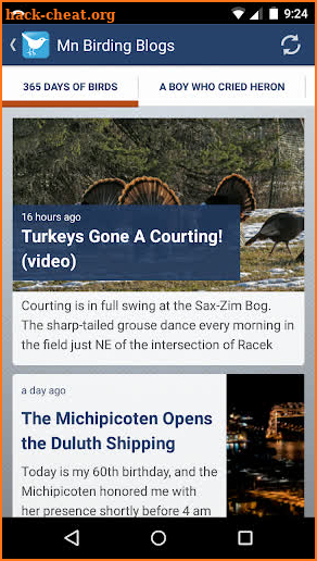 Minnesota Birding News screenshot