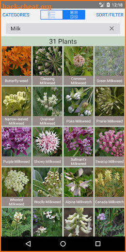 Minnesota Wildflowers Info. screenshot