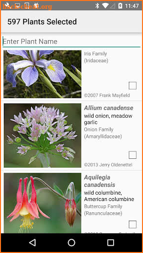 Missouri Wildflowers screenshot
