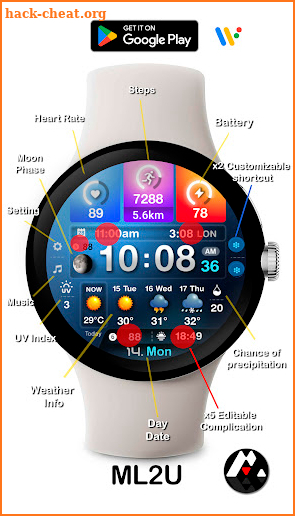 ML2U 243 Watch Face screenshot