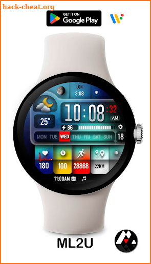 ML2U 254 Watch Face screenshot