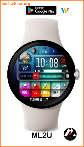 ML2U 254 Watch Face screenshot
