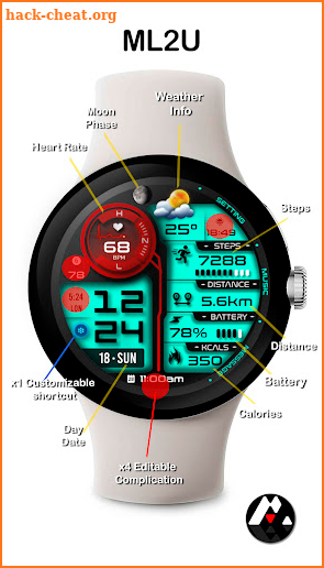 ML2U 263 Watch Face screenshot