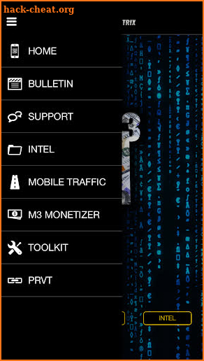 Mobile Money Matrix screenshot