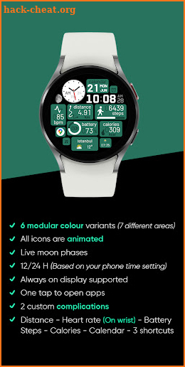 Modular Colours - Watch Face screenshot