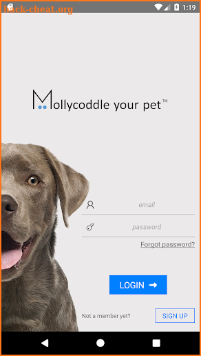 Mollycoddle Home Pet Care screenshot