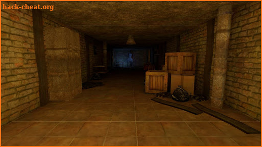 Momo Scarry 3d Game screenshot