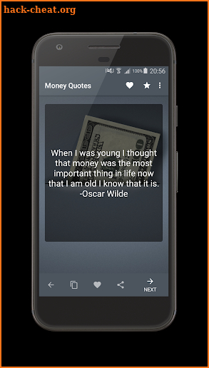 Money Quotes screenshot