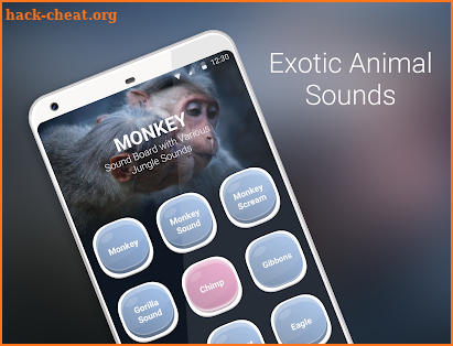 Monkey Sounds screenshot