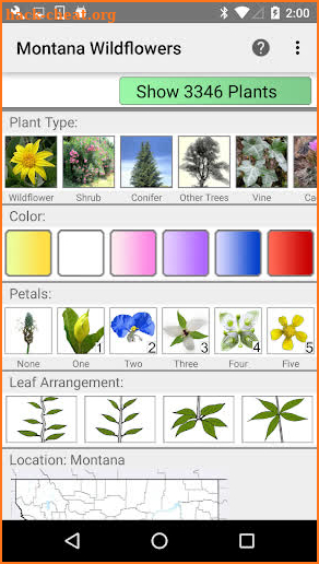 Montana Wildflowers screenshot