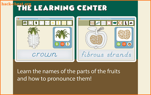 Montessori Botany - Parts of Fruits screenshot