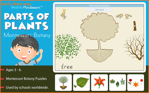 Montessori Botany - Parts of Plants screenshot