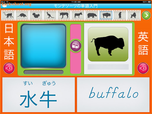 Montessori Vocabulary Animals - English & Japanese screenshot