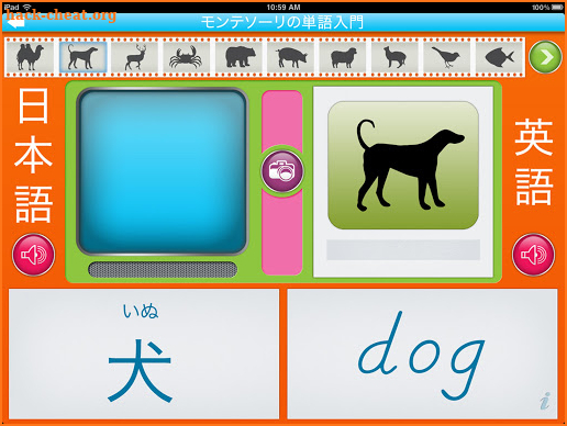 Montessori Vocabulary Animals - English & Japanese screenshot