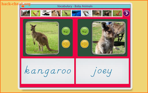 Montessori Vocabulary - Baby Animal Names screenshot